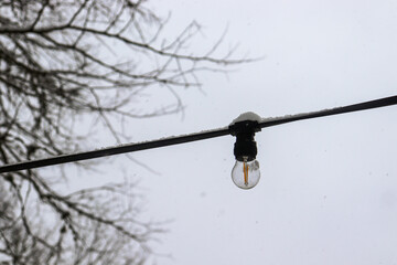 Single light bulb covered with snow against the background of sky and branches