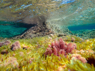 ray, underwater, light, sunlight, sea, blue, water, ocean, sun, surface, background, sun light,...