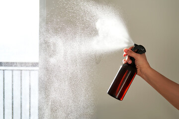 A woman's hand sprays an air freshener in a room.