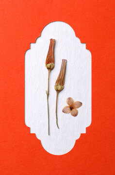 Elegant little flowers with red paper fframe