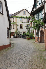 Blick durch die Winzergasse in Gleiszellen in Rheinland-Pfalz