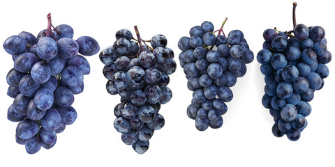 Bunch of dark blue grape isolated on a transparent background