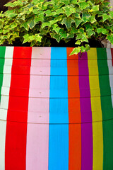 Colorful wooden barrels in the historic center of Acqui Terme Alessandria Italy