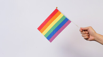 Hand is hold  pride flag on white background