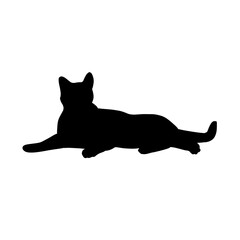 black cat silhouette