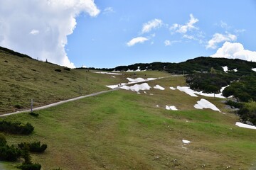 Triassic Park Austria