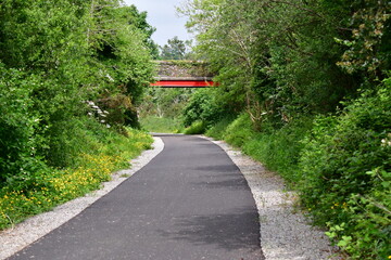 Old stone and iron bridge. New Ross Greenway, New Ross, Co. Wexford, Ireland