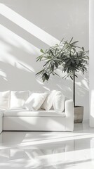 A bright, minimalist living room with a white sofa and a large green indoor plant, bathed in natural sunlight.