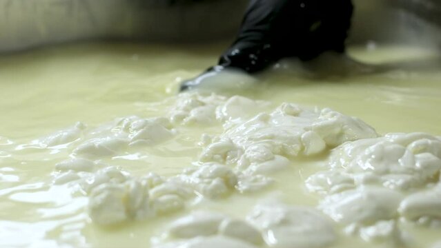 Caciocavallo how to prepare kachakovala cheese step by step in a home craft cheese factory, female hands in black latex gloves prepare a delicious product Italy Switzerland