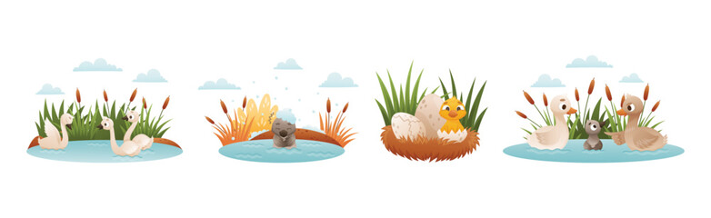 Ugly Duckling Fairy Tale with Little Birdie Vector Set