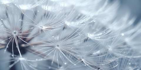 Macro nature background.