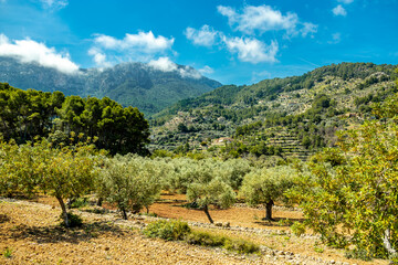 Küstenwanderung zur Bucht von Cala de Deià auf der wunderschönen Balearen Insel Mallorca -...
