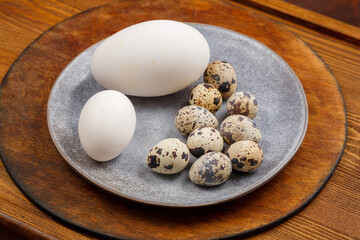 Chicken goose and quail eggs on a gray plate on a wooden table comparison