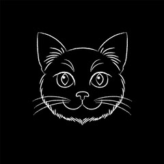 A cat's face in a simple style drawn by chalk