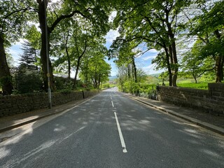 Lush green trees line both sides of the tranquil Barrowford Road, casting dappled shadows on the asphalt, with fields and hills in the distance in, Colne, Lancashire, UK