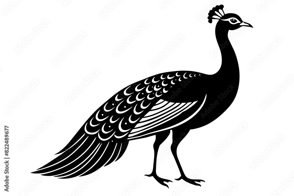 Wall mural peahen vector silhouette illustration