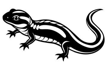  salamander vector silhouette illustration