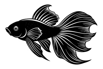 Siamese fighting fish vector silhouette illustration
