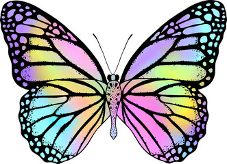 Colorful butterfly with digital gradient watercolor.