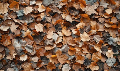 Overhead view of a carpet of fallen leaves, muted earth tones, flat lay, detailed natural drawing