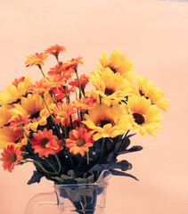 Bouquet yellow flowers in jug on pink background.