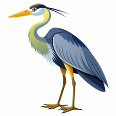 a-full-body-heron--white-background