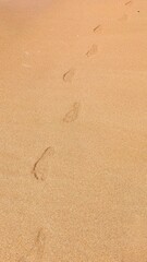  Tranquil beach scene captures footprints in light brown sand vanishing into horizon.