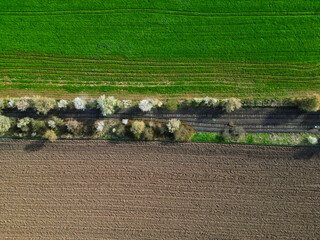 aerial view on an abandoned railroad track with a green and brown field surrounding