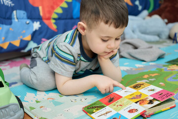young boy reading a book with animal pictures
