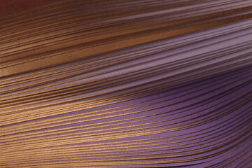 Gold bronze, violet Color strip gradient line wave paper. Abstract texture background.