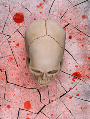 human skull on the bloody floor