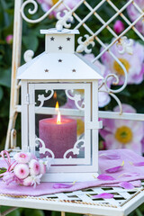romantische Dekoration mit weißer Laterne und Blumenstrauß mit pink Bellis perennis	
