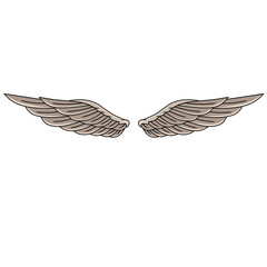 Wings angle