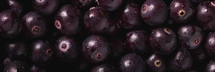 Dark purple berries texture background, currant pattern, elderberry banner, black irga, saskatoon berry