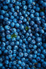Bilberries texture background, blueberries pattern, blaeberry mockup, whortleberry banner top view
