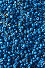 Blueberry texture background, Cyanococcus fruits pattern, blue purple berries mockup, banner, wild berries