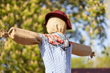 Scarecrow detail with blurred tree on background