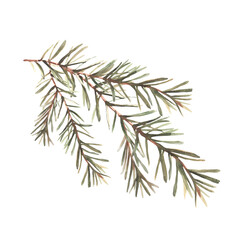 Fototapeta premium Watercolor Christmas tree branches. Spruce, pine or fir green branch. Winter forest botanical hand drawn illustration for design of greeting card, invitation print. Isolated clipart white background.