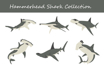 hammerhead shark collection. hammerhead shark in different poses. Vector illustration.