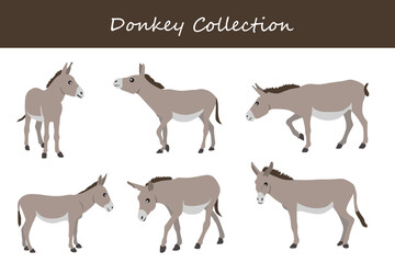 donkey collection. donkey in different poses. Vector illustration.