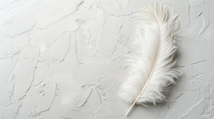  A pristine white feather atop a textured wall, marred by paint splatters and chipping white paint