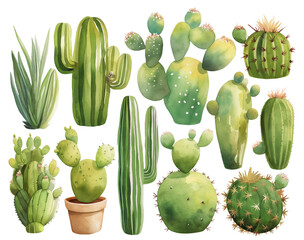 Watercolor cacti set on white