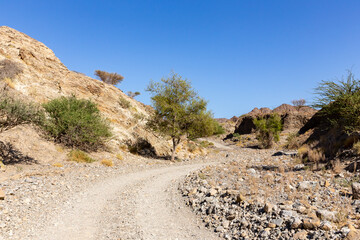 Winding gravel dirt road through rocky limestone Hajar Mountains in United Arab Emirates with acacia trees and barren desert vegetation.
