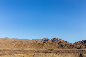 Dry, barren landscape of Hajar Mountains in United Arab Emirates with acacia trees and rocky limestone mountains, blue sky, low horizon, copy space.
