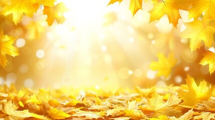  A tight shot of fallen leaves on the ground, bathed in sunlight Yellow and red leaves scatter the earth, softly descending