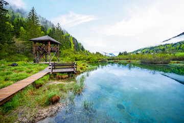 Nature Reserve Zelenci, krajnska gora, Slovenia, Europe. Wonderful morning view of Zelenci nature...