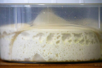 Natural fermentation pizza dough in transparent pot