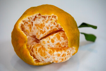 polcan tangerine isolated in selective focus