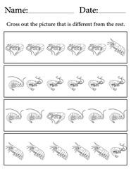 Shrimp Puzzle. Printable Activity Page for Kids. Educational Resources for School for Kids. Kids Activity Worksheet. Find the Different Object