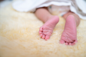 Closeup of newborn baby feet sleeping on bed
